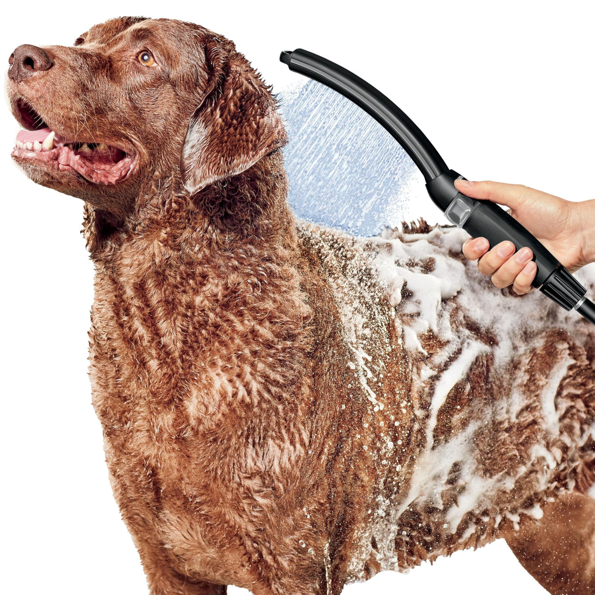Waterpik Pet Wand Pro Deluxe Dog Shower Attachment