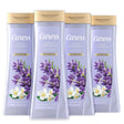 Caress Body Wash for Women, Jasmine & Lavender Oil, 20 fl oz, 4 Pack