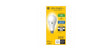LED A21 E26 SW 200W 1PK