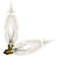 GE Lighting 76236 40 Watt Clear Candelabra Incandescent Light Bulb 2 Count