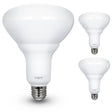 Feit Electric LED BR40 Bulbs, 2 Pack