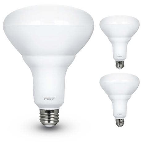 Feit Electric LED BR40 Bulbs, 2 Pack