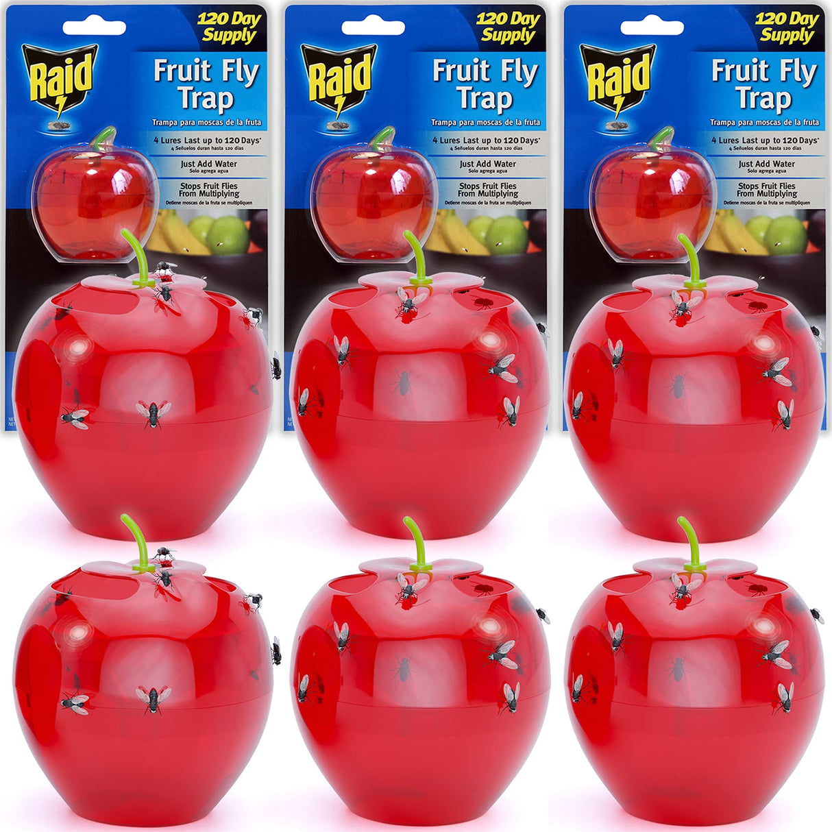 Raid Fruit Fly Trap Bundle, Set of 3 2-Pack Apple Fruit Fly Catcher Indoor Trap