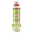 Old Spice Whole Body Deodorant – Cucumber + Avocado Scent for All-Day Freshness and Protection